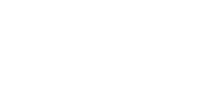 hurma koleksiyonları